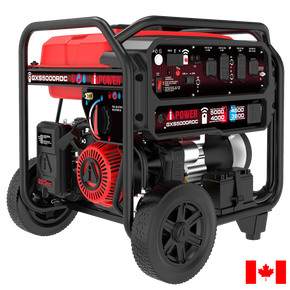 GXS5000RDC – Remote Dual Fuel Generator