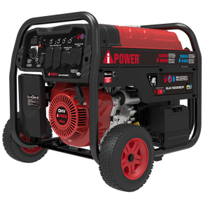 SUA12000EDP Dual Fuel Generator