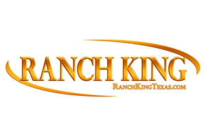imgi 43 brand ranchking